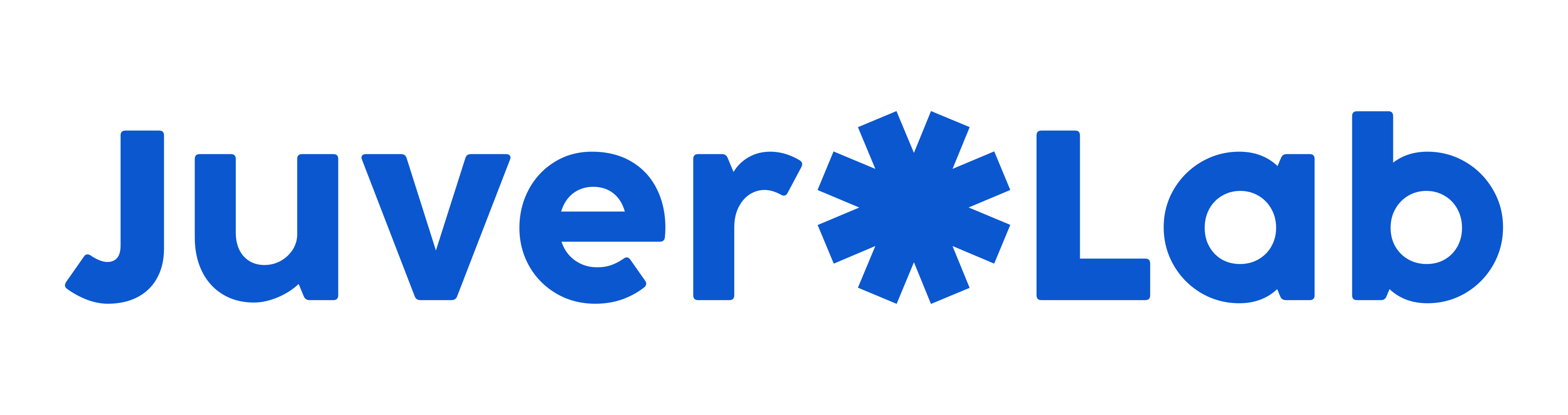 Juver LAB